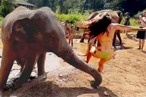 Mr. Elephant Swept Me Off My Feet?!
