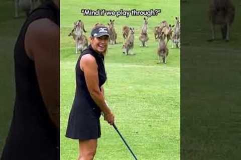 Golf Gone WILD 🐾 | Hardcore Animals