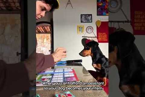Pup Helps His Pawrent Peel Stickers