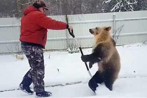 Animals Helping Humans In Ways You Never Expected...Try Not to Laugh! 😂