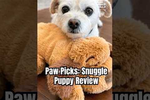 Paw Picks: Snuggle Puppy