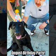 Shelter Dogs Celebrate Their Birthday's in August! #Dogust