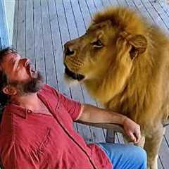 Animals Always Have One More Surprise 😂
