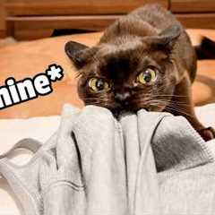 It's Mine...My Precious!