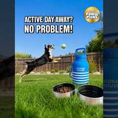 Paw Picks: Hooray House Water Bottle