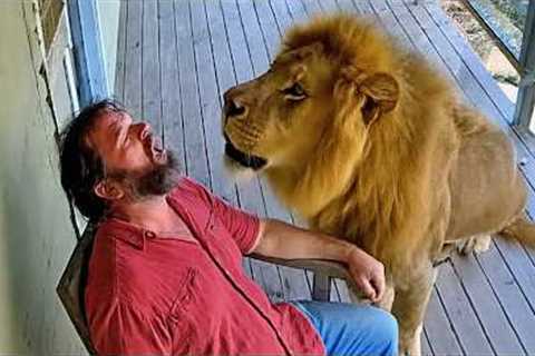 Animals Always Have One More Surprise 😂