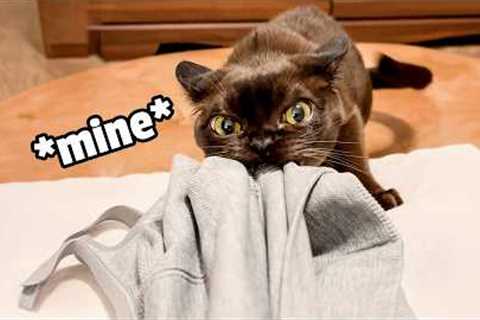 It's Mine...My Precious!