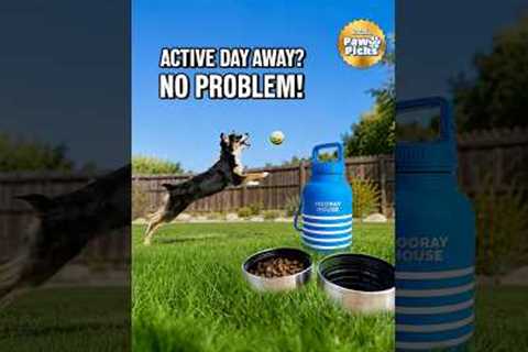 Paw Picks: Hooray House Water Bottle