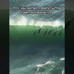 Amazing Dolphin Pod Surfs On Wave