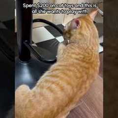Orange Cat Somersaults Over Chair Footrest Like Gymnast