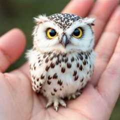 This Level of Baby Animal Cuteness Should Be Illegal 😂❤️Funniest Baby Animals Videos 2026
