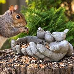 A Helping Hand For Hungry Critters - 10 Hours