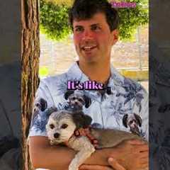 Small Dogs Should Be Allowed To Eat In ALL Restaurants | Petty Takes Ep.3