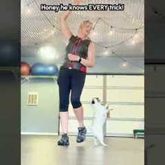 Pug Performs Incredible Tricks With Woman