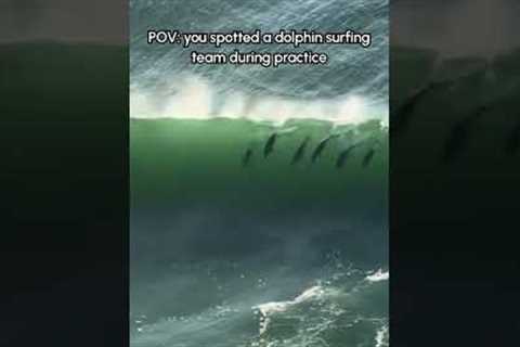 Amazing Dolphin Pod Surfs On Wave