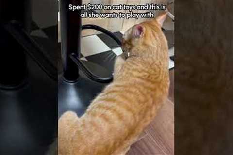 Orange Cat Somersaults Over Chair Footrest Like Gymnast