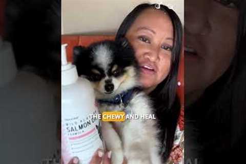 Paw Picks: Wild Alaskan Salmon Oil for Dogs