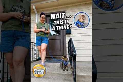Paw Picks: Travel Cat Harness
