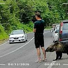 My Leg Got Tasted By A Bear! | CCTV Fails