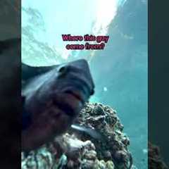 Phone Accidentally Falls Into Ocean and Captures Fish Swimming by Camera