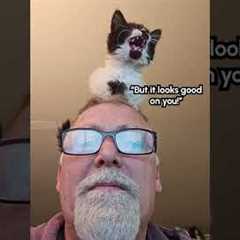 Kitten Sits on Man's Head