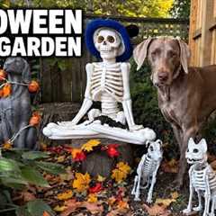 Squirrels Spooky Garden 🎃 Halloween with Handsome Nature