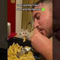 Hungry Hamster Shares Pasta Dinner