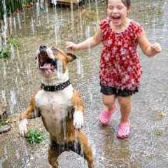 Excited DOGS Have the Time of Their LIVES in the RAIN! 🤣 Hilarious Dog Videos!