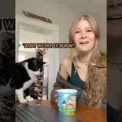 Funny Cat Regrets Asking for Human Treat