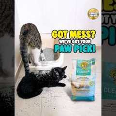 Paw Picks: Dr. Elsey's Clean Air Crystal Litter