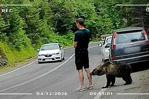My Leg Got Tasted By A Bear! | CCTV Fails