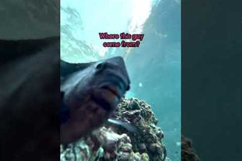 Phone Accidentally Falls Into Ocean and Captures Fish Swimming by Camera
