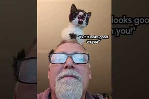 Kitten Sits on Man's Head