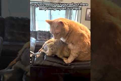Prairie Dog's Hug Attempt Ends in Hilarious Tumble