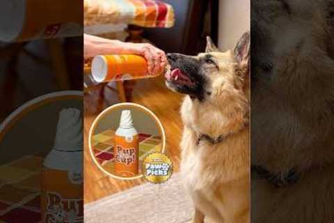Paw Picks: Pup Cup Pumpkin Whipped Cream