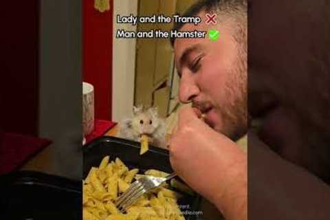 Hungry Hamster Shares Pasta Dinner