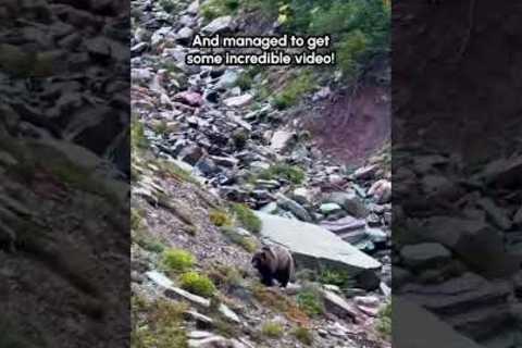 Hikers Encounter Grizzly Bear in National Park